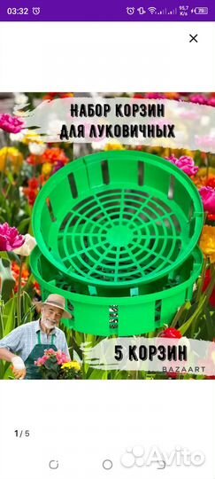 Корзины для луковичных цветов