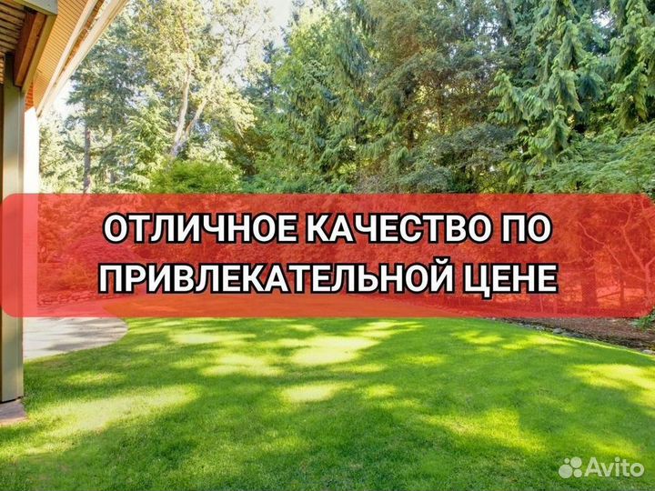 Рулонный газон