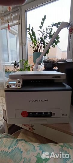 Принтер Pantum CM1100DN