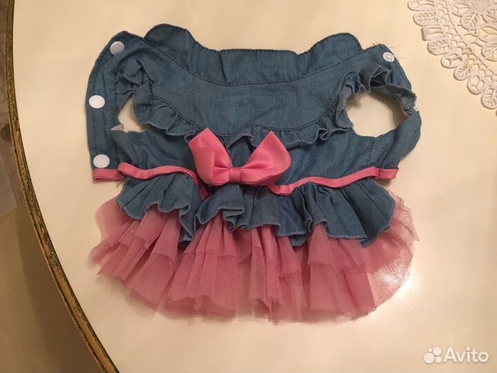 Одежда для чихуахуа