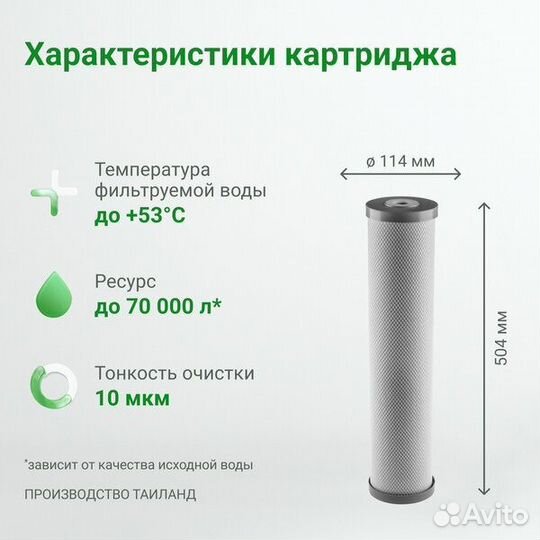 Cменный элемент Гейзер CBC10-Ag-20BB 27096