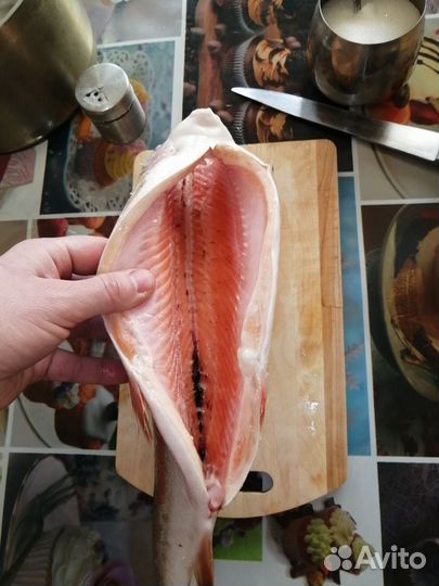 Форель морская