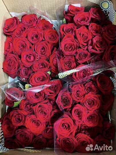 Цветы Розы оптом и в розницу