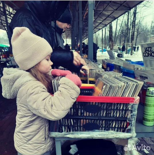 Виниловые пластинки