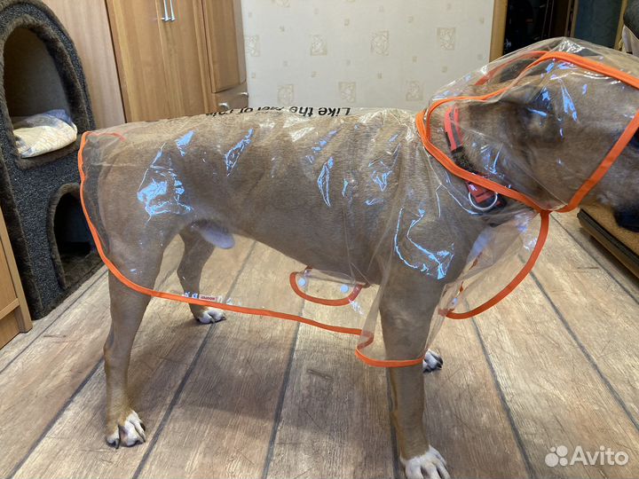 Плащ-дождевик для большой собаки