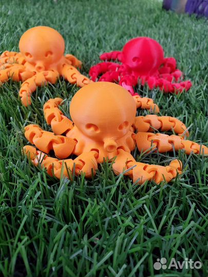 Осьминог подвижный