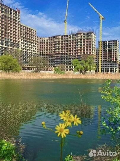 Недвижимость