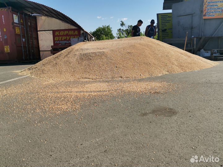 Корма для с/х животных