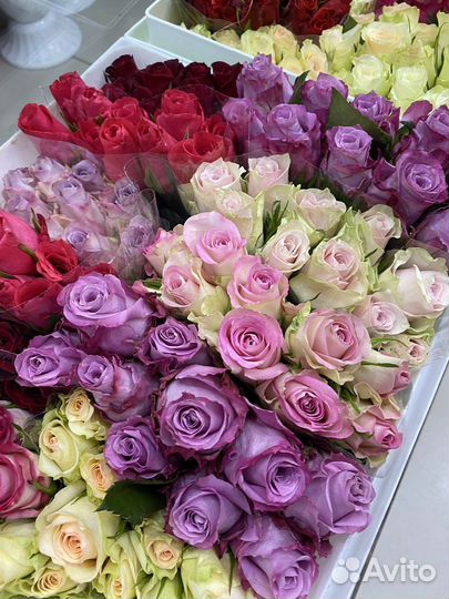 Кенийские розы