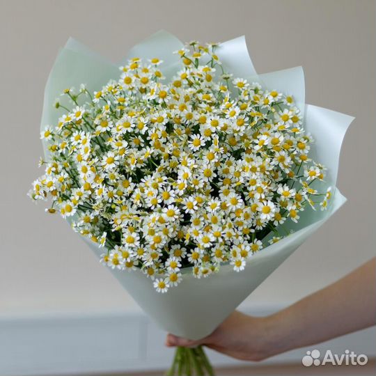 Букеты ромашек доставка