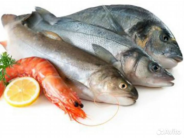 Рыбный магазин – готовый бизнес с базой