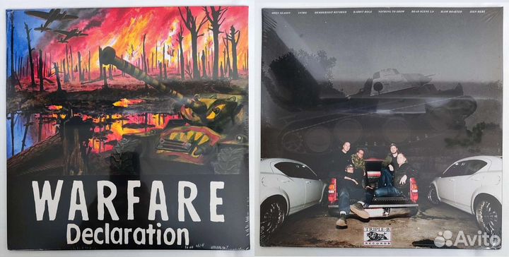 Виниловые пластинки