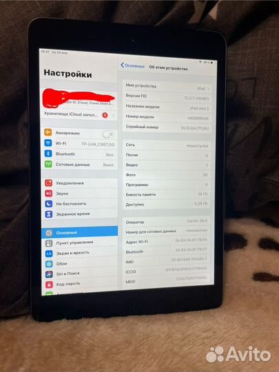 iPad mini 2