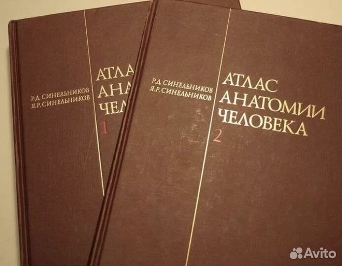 Атлас анатомии человека Синельникова