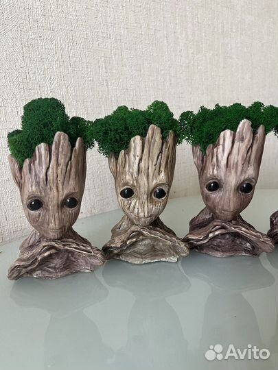 Кашпо Грут со стабилизированным мхом