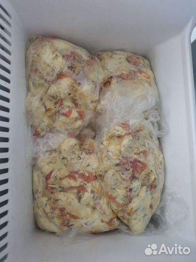 Суточные цыплята на корм животным, замороженные