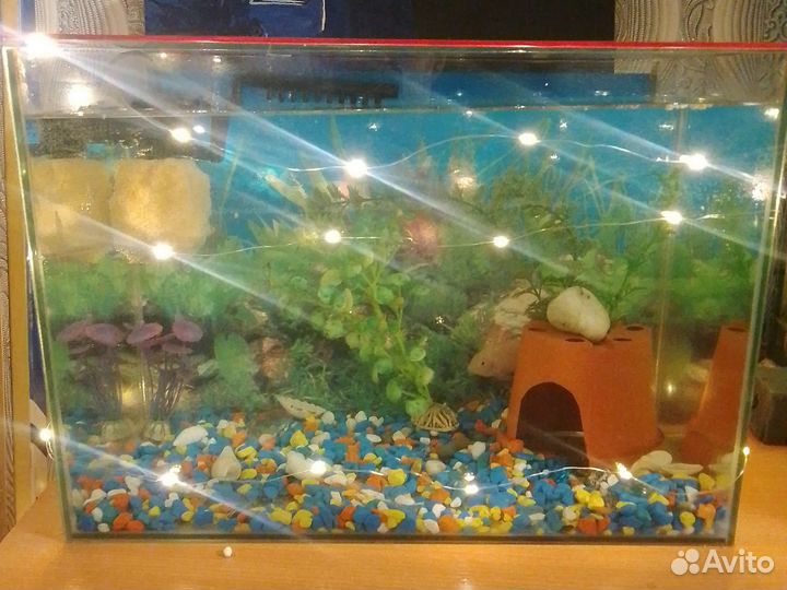 Аквариум готовый и рыбки, чистка