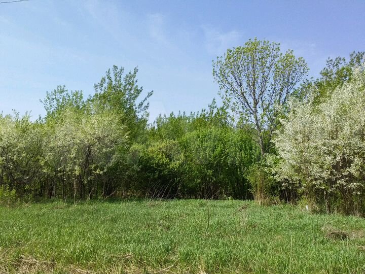 Участок 56 сот. (ИЖС)