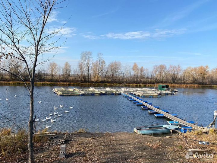 Садок для выращивания рыбы