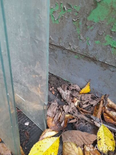 Стекла оконные