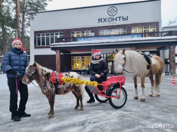 Детский день рождения, праздники, аниматоры
