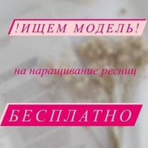 Модель бесплатно