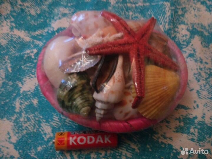 Набор ракушек