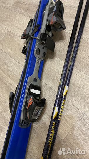 Горные лыжи