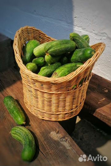 Плетение корзин на заказ