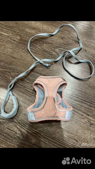 Шлейка для маленькой собаки