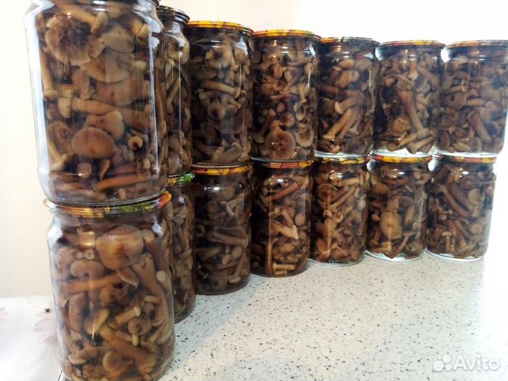 Опята маринованные