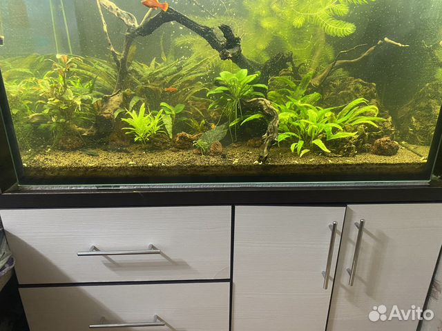Аквариум с тумбой
