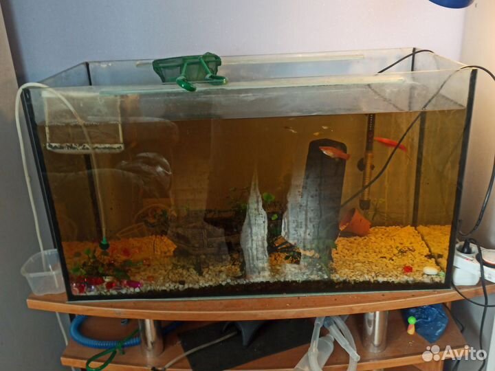 Аквариума 100 л с рыбкоми