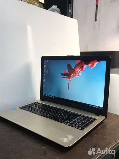 Шустрый HP asus