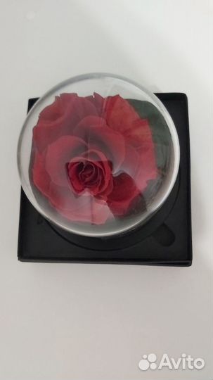 Роза в колбе будет радовать 5 лет Пр-во Дубай