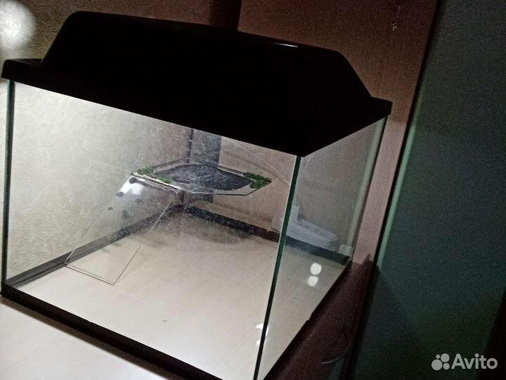 Черепашник