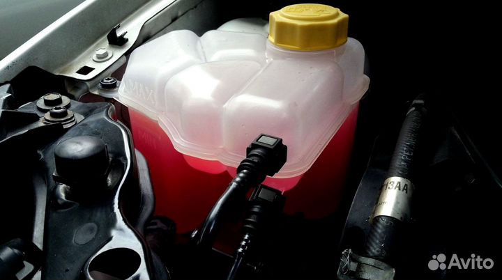 Антифриз красный