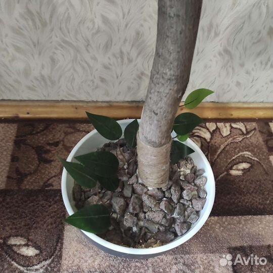 Искусственное дерево