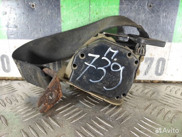 Ремень безопасности задний правый Ford Focus 1998