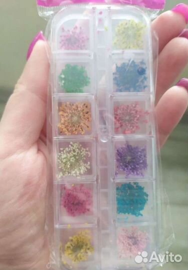 Сухоцветы для дизайна ногтей