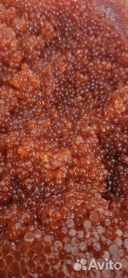 Красная икра 23 Камчатка Премиум Горбуша Вкуснейша