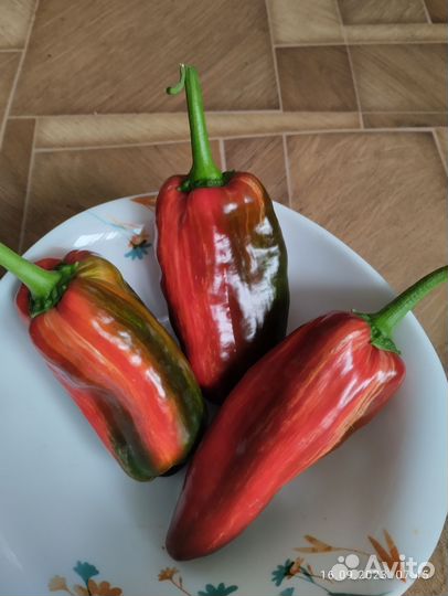 Семена редких сортов перца