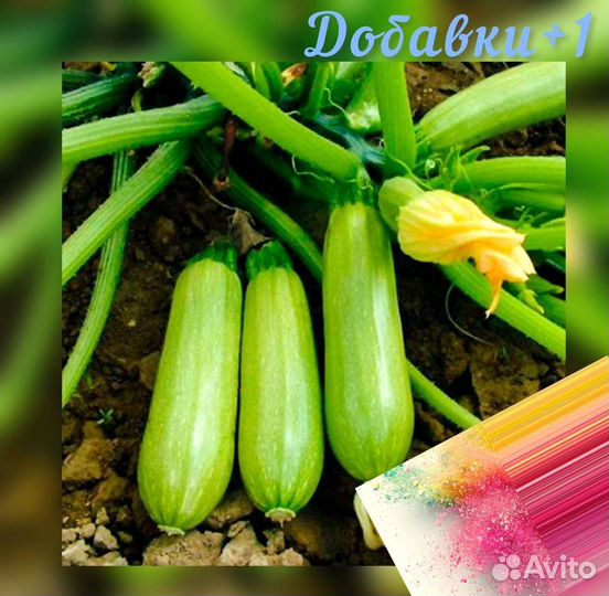 Кабачок (цукини) сушеный