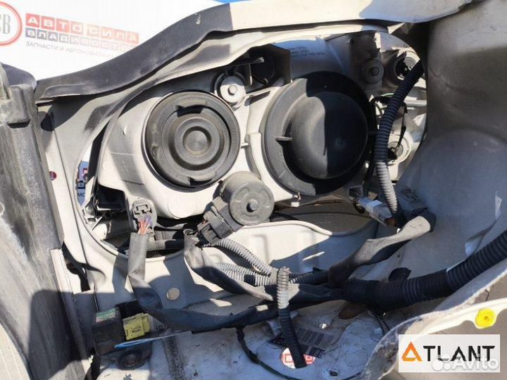 Nose cut toyota crown