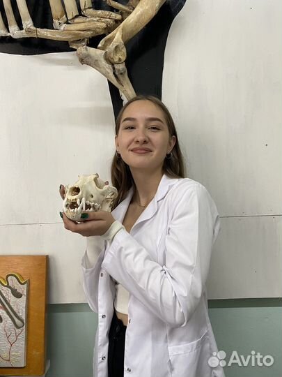 Репетитор по химии и биологии