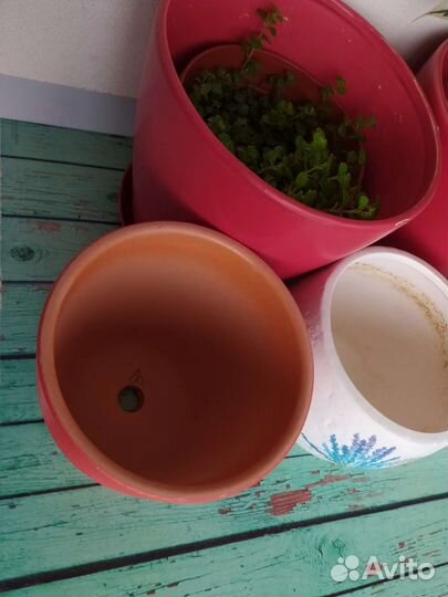 Горшок керамический кашпо для цветов