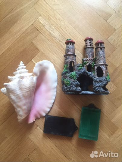 Аквариум Скребок Раковина