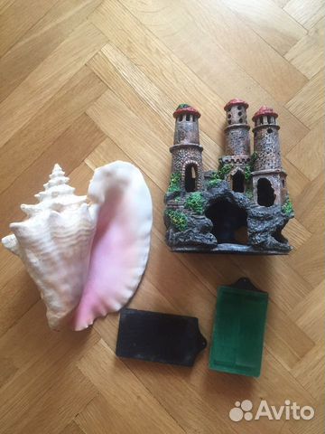 Аквариум Скребок Раковина