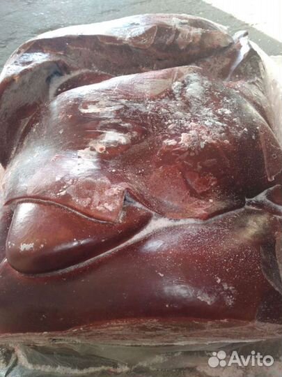 Печень говяжья и свиная,Россия,Омская обл