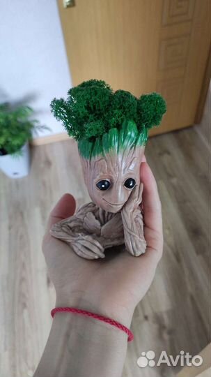 Стабилизированный мох